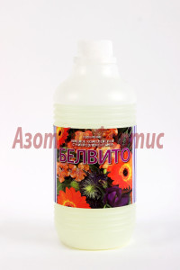 belvito2-683x1024